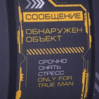 Подушка антистресс &laquo;Мир принадлежит тебе&raquo;, 30 х 22 см