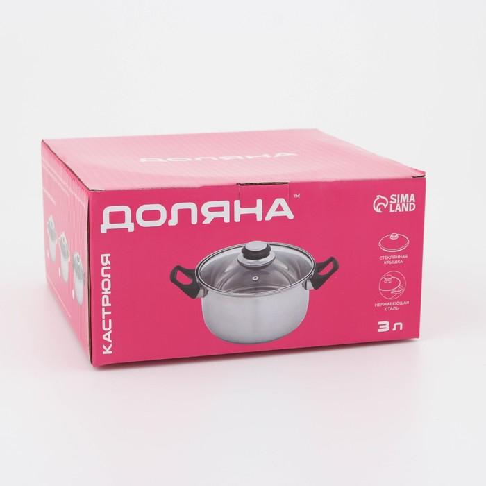 Кастрюля с крышкой из нержавеющей стали Доляна &laquo;Классика&raquo;, 3 л, d=20 см