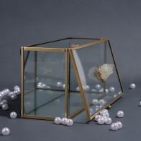 Органайзер для хранения «MOUNTAINS», с крышкой, стеклянный, с зеркальным дном, 1 секция, 21,5 × 10,5 × 7,5 см, цвет прозрачный/медный Органайзер для хранения «MOUNTAINS», с крышкой, стеклянный, с зеркальным дном, 1 секция, 21,5 × 10,5 × 7,5 см, цвет прозрачный/медный