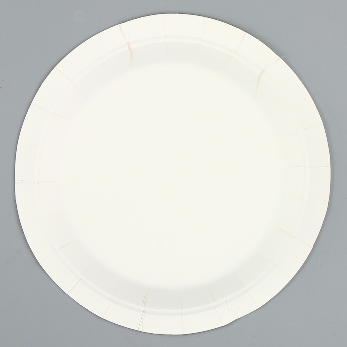 Тарелки бумажные &laquo;С днём рождения&raquo;, 6 шт.