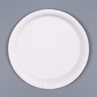 Тарелки бумажные &laquo;С днём рождения&raquo;, набор 6 шт., цвет чёрный