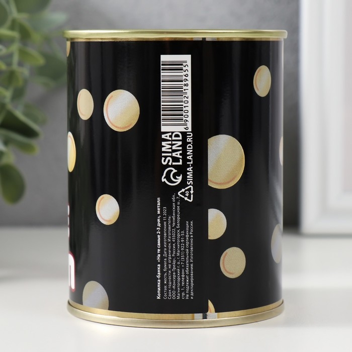 Копилка-банка Копилка-банка "На те самые 2-3 дня"