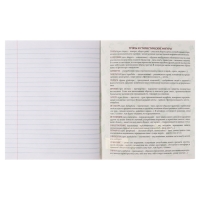 Тетрадь предметная Calligrata TOP "Анимэ", 48 листов в линию Литература, со справочным материалом, обложка мелованный картон, блок офсет