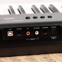 Электронное пианино DENN PRO PW01, 8 тембров, полифония 48 нот, 88 клавиш Электронное пианино DENN PRO PW01, 8 тембров, полифония 48 нот, 88 клавиш