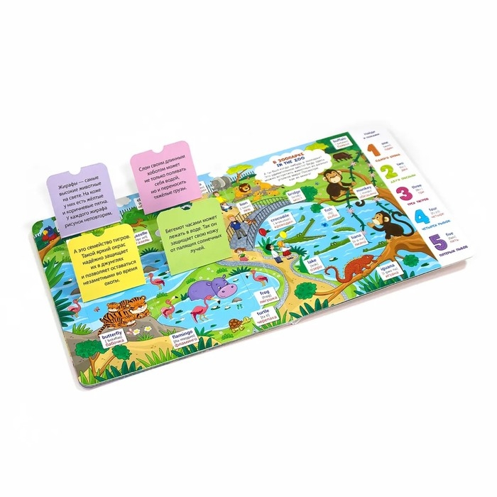 Книжка с окошками &laquo;Мои первые слова. Мои первые английские слова&raquo;