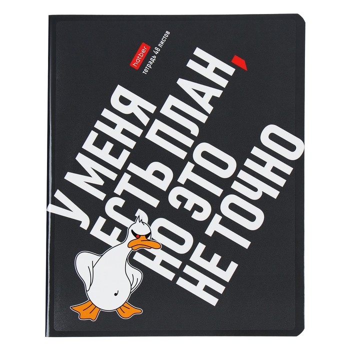 Тетрадь 48 листов в клетку Тетрадь 48 листов в клетку "Гусь умный", обложка мелованный картон, выборочный лак, скругленные углы, 5В МИКС