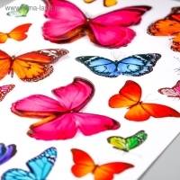 Наклейка пластик многослойная "Бабочки" МИКС 35.5х25 см