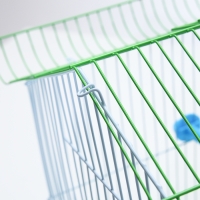 Клетка для птиц укомплектованная Bd-1/1d, 30 х 23 х 39 см, зелёная (фасовка 12 шт) Клетка для птиц укомплектованная Bd-1/1d, 30 х 23 х 39 см, зелёная (фасовка 12 шт)