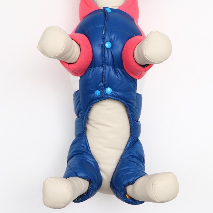 Комбинезон Комбинезон "Эльф", размер 14 (ДС 32 см, ОГ 42 см, ОШ 31 см), розово-синий