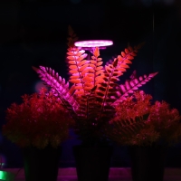 Фитосветильник светодиодный, 2 Вт, 5 В, в горшок, USB, мультиспектральный, 1 круг Фитосветильник светодиодный, 2 Вт, 5 В, в горшок, USB, мультиспектральный, 1 круг