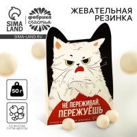 Жевательная резинка &laquo;Пережуешь&raquo;, вкус: тутти-фрутти, 50 г.