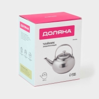Заварочный чайник Доляна &laquo;Гретель&raquo;, 1,1 л, металлическое сито, нержавеющая сталь, хромированный
