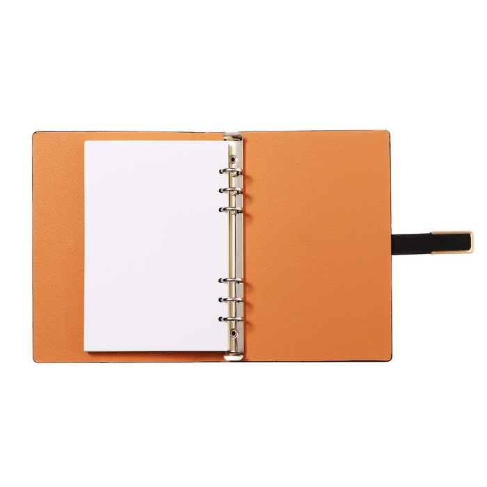 Органайзер на кольцах, формат А5, 90 листов, линия, с хлястиком, обложка кожзам МИКС Органайзер на кольцах, формат А5, 90 листов, линия, с хлястиком, обложка кожзам МИКС