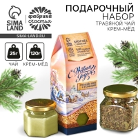Набор &laquo;С Новым годом&raquo;: травяной чай 20 г. и крем-мед 120 г.