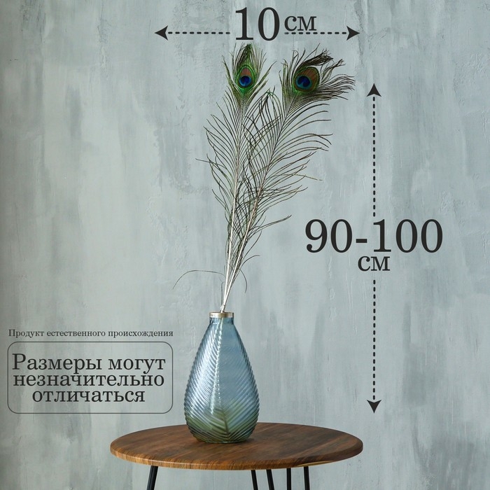 Перо павлина для декора 1 шт., размер &mdash; от 90 до 100 см