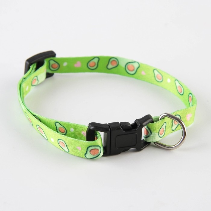 Ошейник для собак и кошек с фастексом &laquo;Авокадо&raquo;, 30х1 см