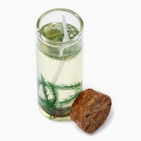 Новогодняя свеча интерьерная в колбе &laquo;Новый год: Еловая ветка&raquo; 3х3х8см