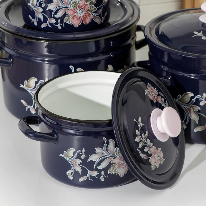 Набор кастрюль &laquo;Алиса&raquo;, 4 предмета: 2 л, 3 л, 6 л, 8 л, эмалированные крышки, индукция