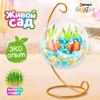 Набор для опытов &laquo;Живой сад: Морские обитатели&raquo;