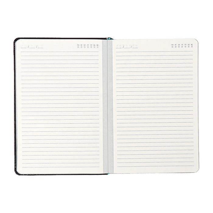 Ежедневник недатированный ESCALADA А5, 160 листов, твердая обложка, искуственная кожа, блок, тиснение, блок 70г/м2, чёрный