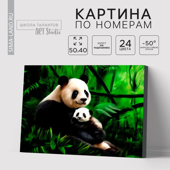 Картина по номерам на холсте с подрамником &laquo;Панды. Мама и малыш&raquo;, 40 х 50 см