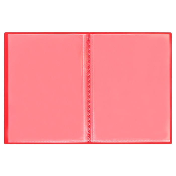 Набор папок А5, 20 вкладышей, Calligrata, микс, 3 штуки