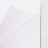 Скетчбук А5, 80 листов,твердая обложка, &laquo;Енот&raquo;.