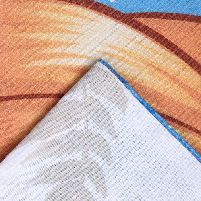 Пододеяльник "Холодное сердце: принцессы", 143*215 см, 100 % хлопок, поплин