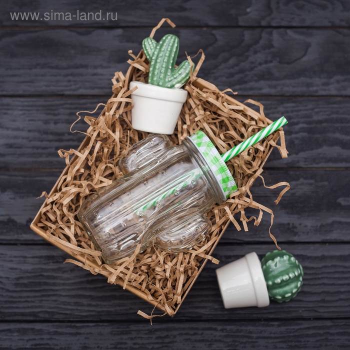 Кружка стеклянная с крышкой и трубочкой Доляна «Кактус», 450 мл, 11×7×15 см Кружка стеклянная с крышкой и трубочкой Доляна «Кактус», 450 мл, 11×7×15 см