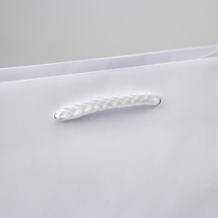 Пакет подарочный ламинированный, упаковка, &laquo;Белый&raquo;, MS 18 х 23 х 8 см