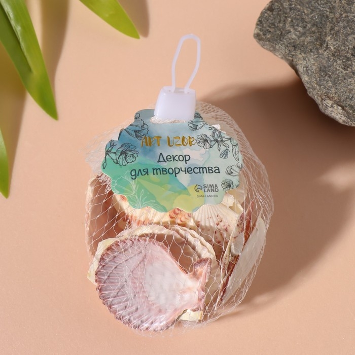 Ракушки природные декоративные Ракушки природные декоративные "Гребешок" набор 100 гр