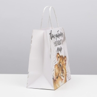 Пакет подарочный, упаковка, «Доброта», 22 х 22 х 11 см Пакет подарочный, упаковка, «Доброта», 22 х 22 х 11 см