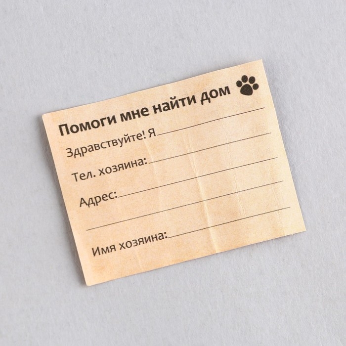 Адресник &laquo;Моё чудо&raquo; для вложения записки, капсула 5.2х1.4 см