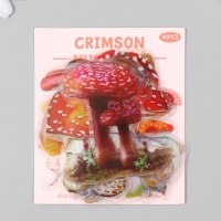 Наклейки для творчества пластик PVC "Грибные истории" набор 40 шт 9х10.5 см