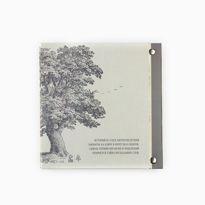 Родословная книга с рамкой под фото &laquo;Семейная&raquo;, 21,5 х 23,7 см.