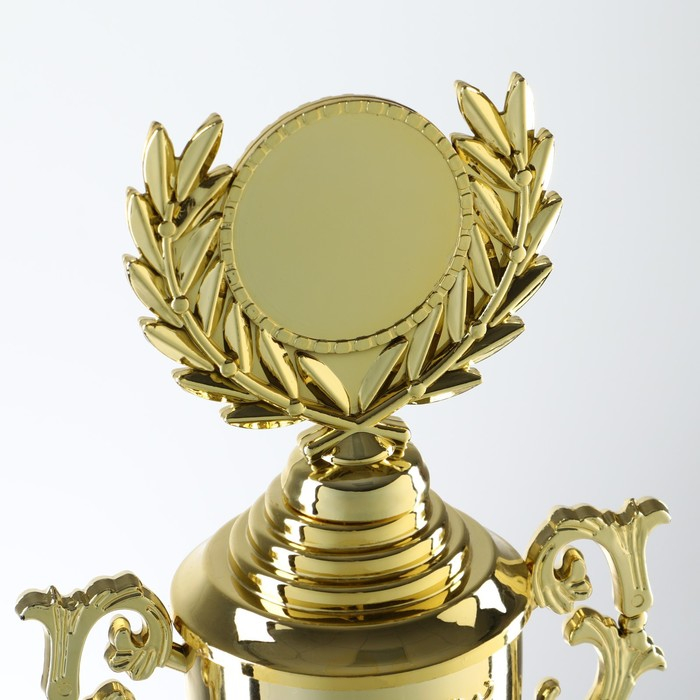 Кубок 014, наградная фигура, золото, подставка пластик, 32,5 × 16 × 8,5 см. Кубок 014, наградная фигура, золото, подставка пластик, 32,5 × 16 × 8,5 см.