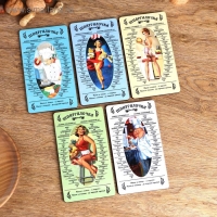 Доска разделочная "Шпаргалочка поварская", МИКС, 10.2×18.5 см Доска разделочная "Шпаргалочка поварская", МИКС, 10.2×18.5 см