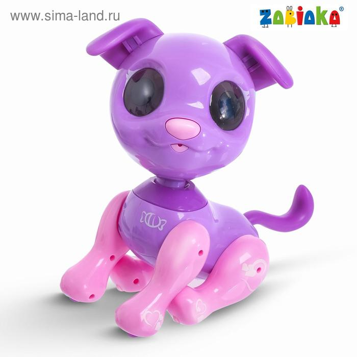 Интерактивная игрушка «Мой друг Кексик», сенсорное управление, световые и звуковые эффекты Интерактивная игрушка «Мой друг Кексик», сенсорное управление, световые и звуковые эффекты