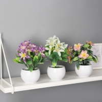 Бонсай в горшке "Адениум элегант" 9х18 см, микс Бонсай в горшке "Адениум элегант" 9х18 см, микс