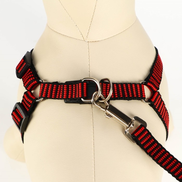 Комплект амуниции рельефный, 1,5 см, шлейка 36-49 см, поводок 120 см, красно-чёрный Комплект амуниции рельефный, 1,5 см, шлейка 36-49 см, поводок 120 см, красно-чёрный