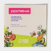 Тарелка фарфоровая для правильного питания Доляна, d=23 см Тарелка фарфоровая для правильного питания Доляна, d=23 см