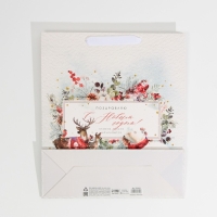 Пакет подарочный новогодний ламинированный &laquo;Поздравляю тебя&raquo;, M 30 х 26 х 9 см, Новый год