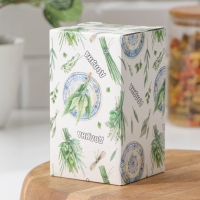 Банка для хранения сыпучих продуктов Доляна &laquo;Кактус&raquo;, 160 мл, 8&times;8&times;14 см, керамическая