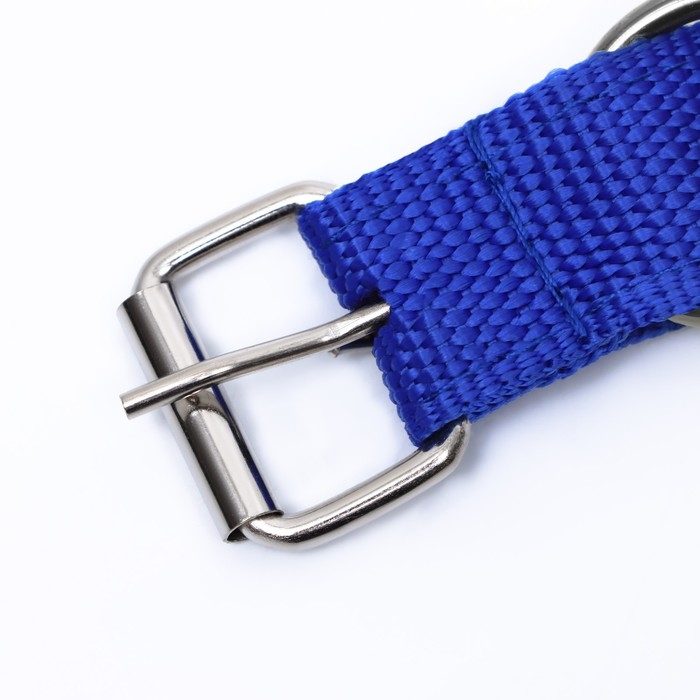 Ошейник двухслойный с вертлюгом, 58 х 3 см, полиэстер, синий Ошейник двухслойный с вертлюгом, 58 х 3 см, полиэстер, синий