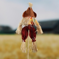 Огородное пугало «Тыква», h = 50 см, МИКС, Greengo Огородное пугало «Тыква», h = 50 см, МИКС, Greengo