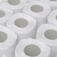 Туалетная бумага &laquo;Вятская&raquo;, 2 слоя, 12 рулонов