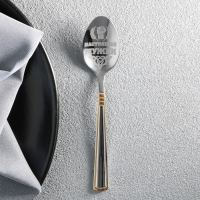 Ложка чайная с гравировкой «Настоящий мужик», в подарочной коробке, 3 х 14 см. Ложка чайная с гравировкой «Настоящий мужик», в подарочной коробке, 3 х 14 см.