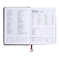 Ежедневник недатированный А5, 160 листов POLO NEW, твёрдая обложка, искусственная кожа, зелёный