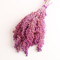 Набор сухоцветов "Просо", банч длина 45 (+/- 6 см), сиреневый