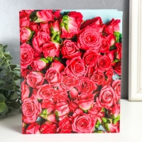 Фотоальбом на 200 фотографий "Розы-3" 10x15 см МИКС